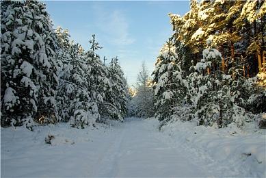 《巫师4》预告片灵感来自A24电影 更黑暗更直接